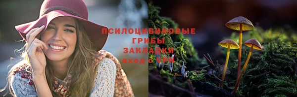 гидра Навашино