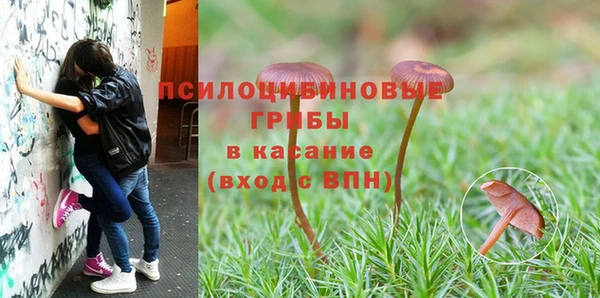 меф Горно-Алтайск