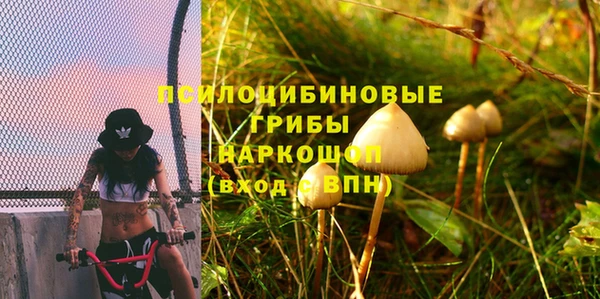 mdpv Надым