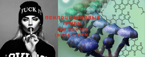 мдпв Нея