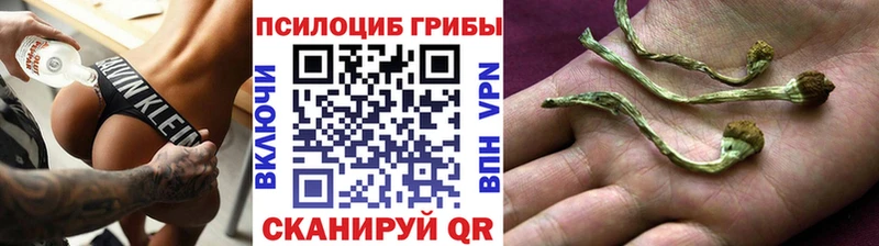 закладка  Подольск  Галлюциногенные грибы Magic Shrooms 