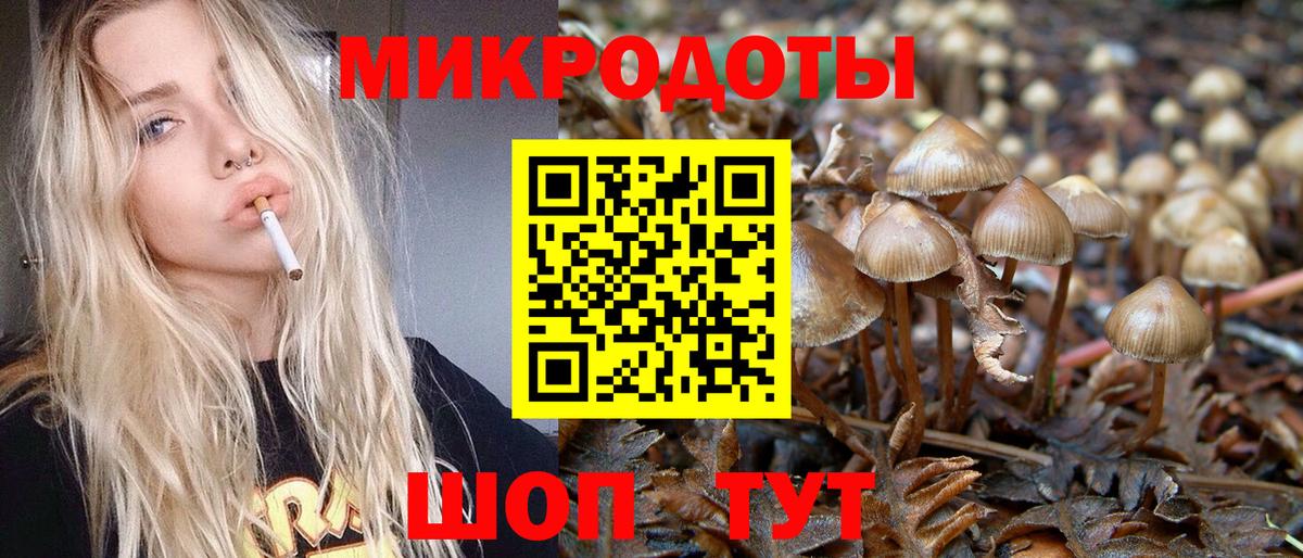 Подольск  Псилоцибиновые грибы Psilocybine cubensis  Псилоцибиновые грибы мицелий  Вход с VPN 